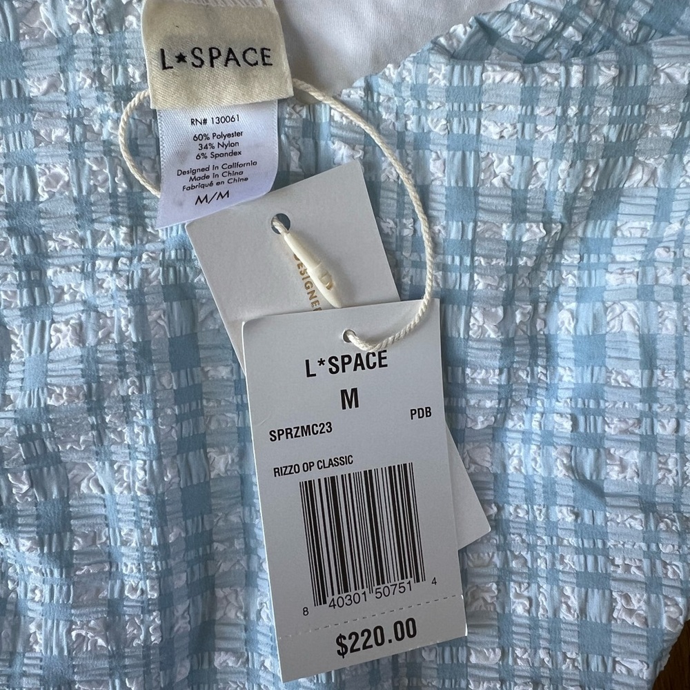 L*Space Rizzo Gingham Charm One Piece - Picture 4 of 5